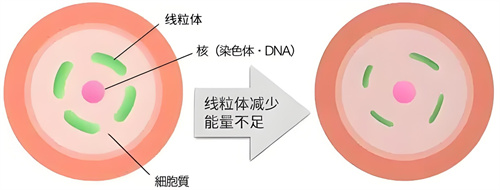 谁说高龄生育难？！掌握5个关键点，40+抱娃也不难！