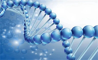 科学备孕第一步，90%的人都不知道！