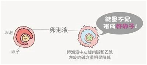 促排生育的“神药”二甲双胍出圈，在什么情况下可以用呢？