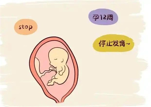 促排生育的“神药”二甲双胍出圈，在什么情况下可以用呢？