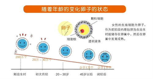 取卵少or无优胚？用这一招逆转局势！