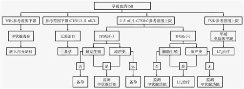 甲状腺结节对生育的影响，经过调养后可以做试管婴儿吗？