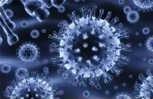 “性福”可能会要命！精液中隐藏着27种病毒