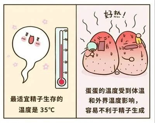 这几种情况下，男性因素也会造成胎停育！