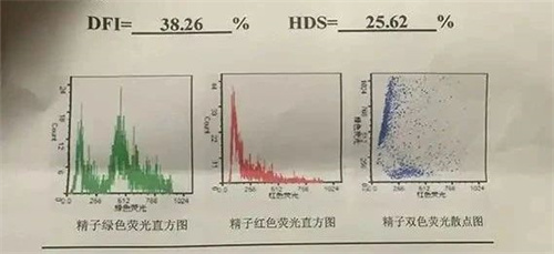 这几种情况下，男性因素也会造成胎停育！