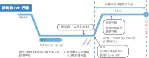 这个花钱少、成功率高的方案，高龄姐妹要知道！