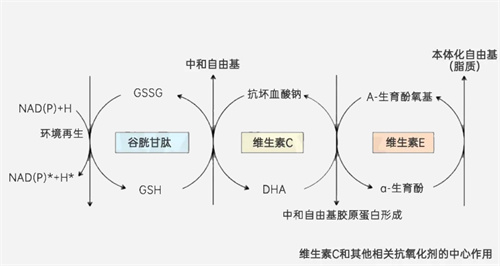这3类营养素，堪称「大龄养卵」黄金组合！卵泡质量逆袭就靠它！