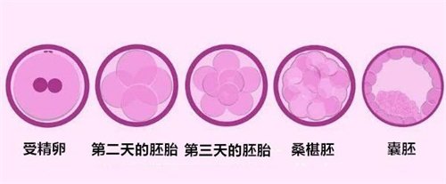 别再混淆！生化妊娠与自然流产真的不一样！