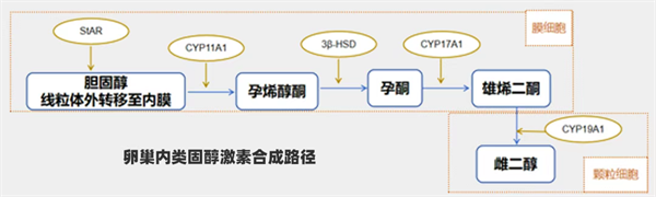 用了肝素/阿司匹林还是胎停？这个隐藏指标90%的人都漏查了！