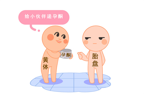 胎停高发季来了，孕妈们要当心！