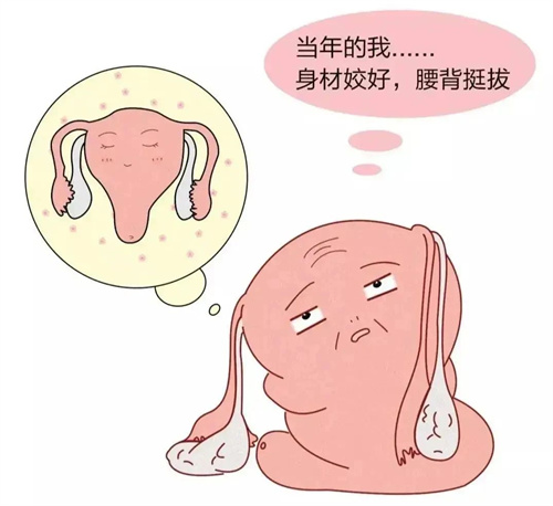 性激素的最佳检查时间，你了解过吗？