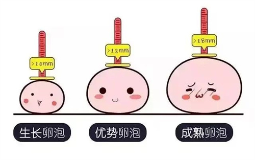 性激素的最佳检查时间，你了解过吗？
