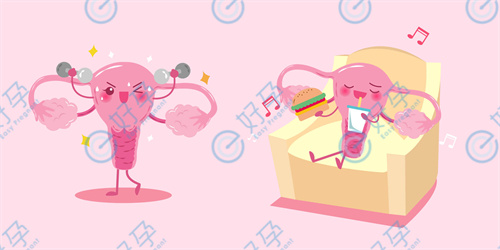 效果可媲美试管！九成不孕姐妹中招，不花钱不吃药的抱娃密码来啦