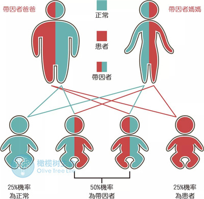 胚染总异常？！一招帮你揪出隐藏的“元凶”！收获健康宝宝！