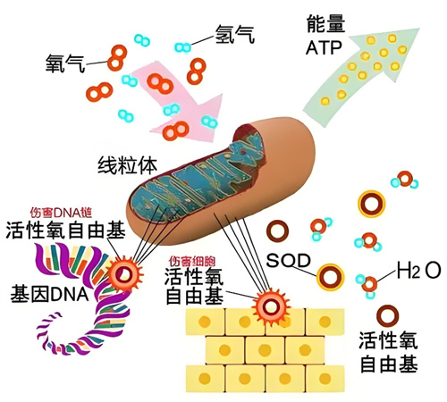 胚染总异常？！一招帮你揪出隐藏的“元凶”！收获健康宝宝！