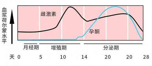 内膜薄的实用治疗方法，总有一种适合你！