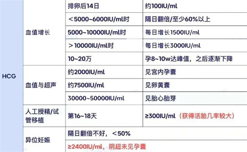 孕早期出血≠保不住！3个关键策略，助你保胎成功率飙升！