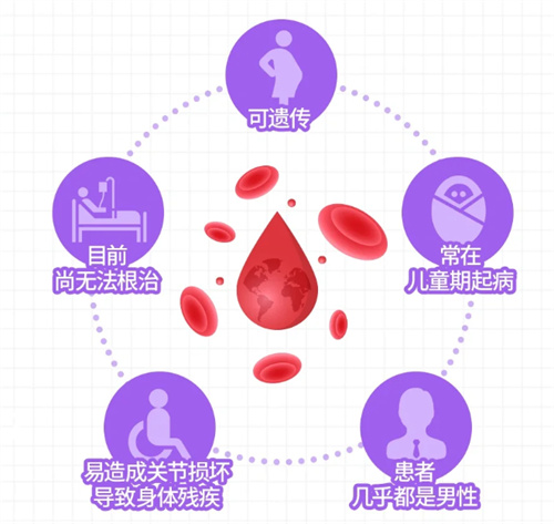 世界血友病日| 用三代试管婴儿技术破解“血之诅咒”！