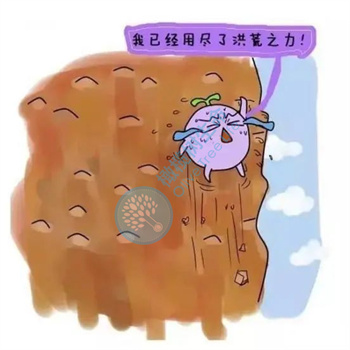 月经总提前？！这可是卵巢功能下降的前兆！3步紧急补救，抢占“生机”！