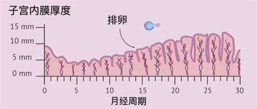 月经总提前？！这可是卵巢功能下降的前兆！3步紧急补救，抢占“生机”！