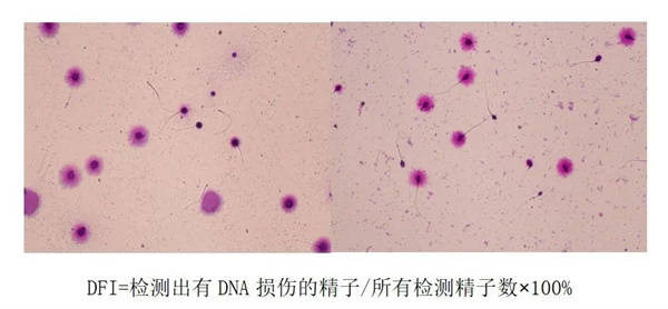 男性的这项隐形指标，比高龄更可怕！