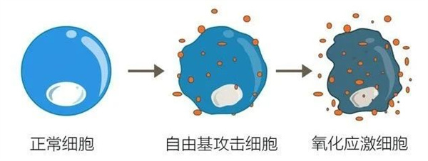 男性的这项隐形指标，比高龄更可怕！