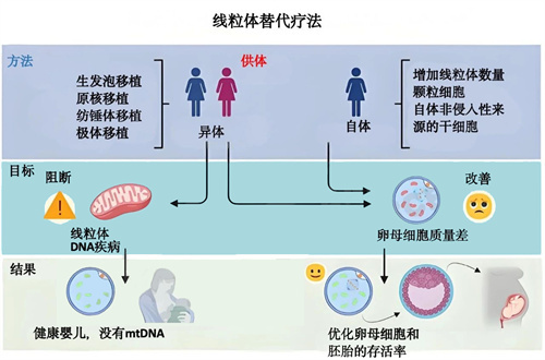 你的促排药是“万能药”还是“无效药”？起决定作用的是它！
