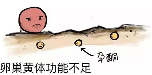 月经总是提前，是你的卵巢在求救…