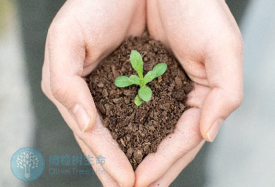 姨妈前后“褐色分泌物”，先别急着补孕酮！4大关键因素，备孕一定要知道！
