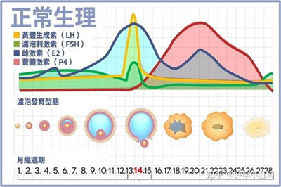 姨妈前后“褐色分泌物”，先别急着补孕酮！4大关键因素，备孕一定要知道！