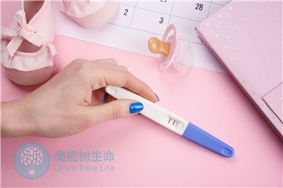 胚胎着床黄金期，这10个身体密码你破译了吗？备孕必知！