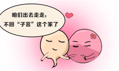 微信图片_20250427162731.jpg