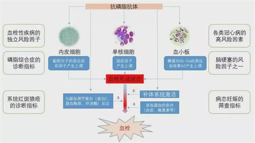 战胜“生化妊娠”，做到这2点就够了！