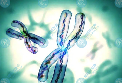 生殖顶刊预警！强调3个「备孕关键细节」正在悄悄影响受孕率！