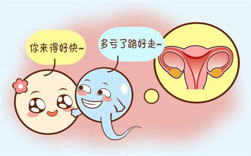 超详细的卵泡“成长史”，看完你全懂！