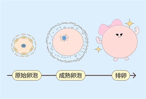 林依晨二胎上热搜！30岁vs40岁生娃，差别真的很大