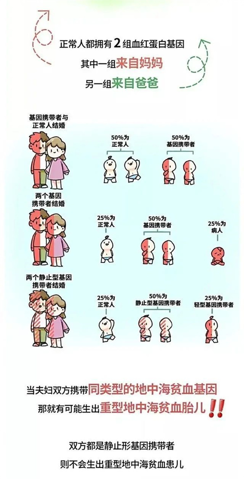 世界地贫日| 三代试管阻断“基因魔咒”，让生育不再“开盲盒”！