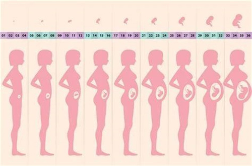 胎儿畸形都是“吃”出来的？实锤！这些食物要远离