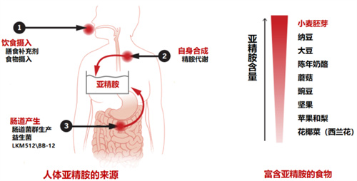 揭秘被诺奖团队盯上的「生育黄金」！大龄备孕多吃它，重塑精卵质量，提升成功率~
