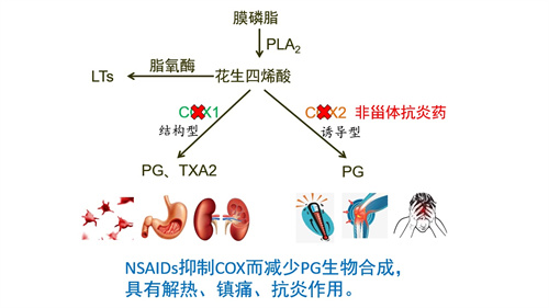 试管婴儿周期中，是否可以服用止痛药？