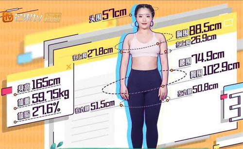 囊胚量、精子量、持续妊娠率竟都被体脂率左右！搞定它快速提升生育力
