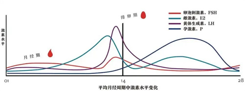 内膜薄怎么办？这3办法让内膜涨涨涨！