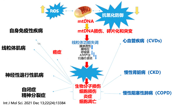高龄试管全靠运气？不！核心抱娃策略在这里！