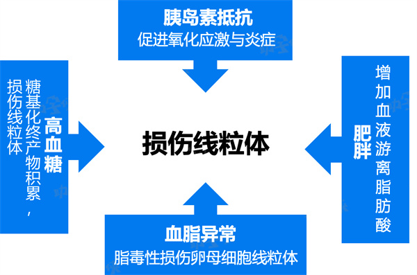 高龄试管全靠运气？不！核心抱娃策略在这里！