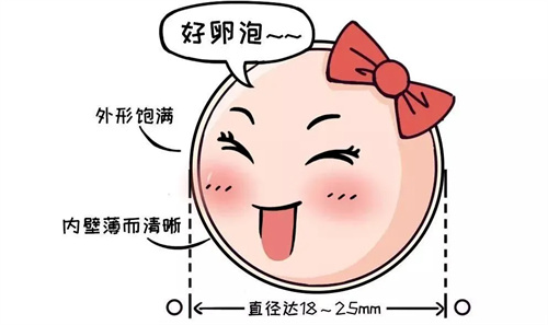 卵泡又大又圆，为何卵子质量却很差？