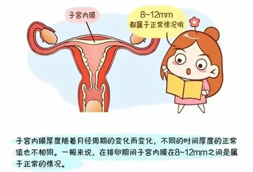 内膜要养到多厚，才能让胚胎成功着床？