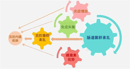移植失败主要怪胚胎？错！这个影响着床的因素最隐蔽，很多人都忽略了…