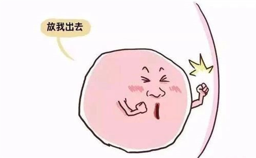 久备不孕？你的精子或卵子可能正在“摆烂”！