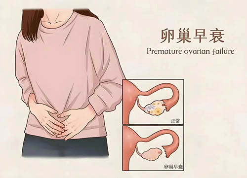 端午安康 | "粽"有妙方，好孕相伴！