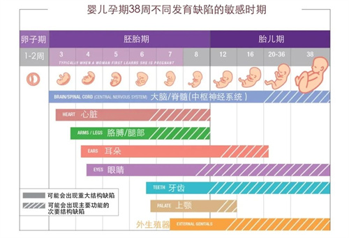 注意！这5个因素是导致胎儿畸形的“元凶”